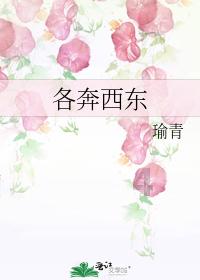农场出逃大作战4